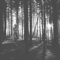 Den mystisk kvinnen i skogen